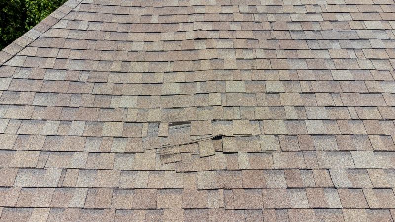 Asphalt Roof Inspection in Ashton, MD