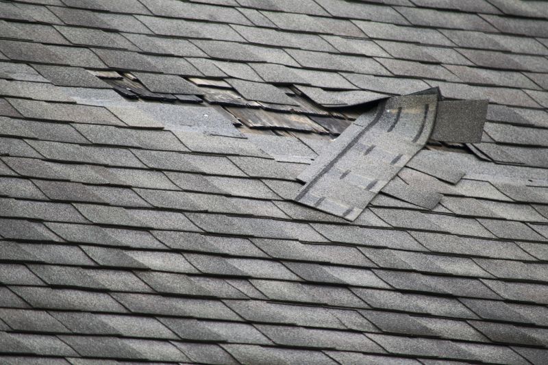 Asphalt Roof Leak Repair in Parkville, MD