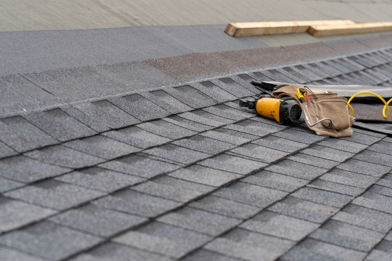 Asphalt Roof Repair in Carroll County, MD