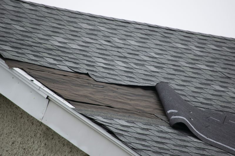 Asphalt Shingles Repair in Mount Airy, MD