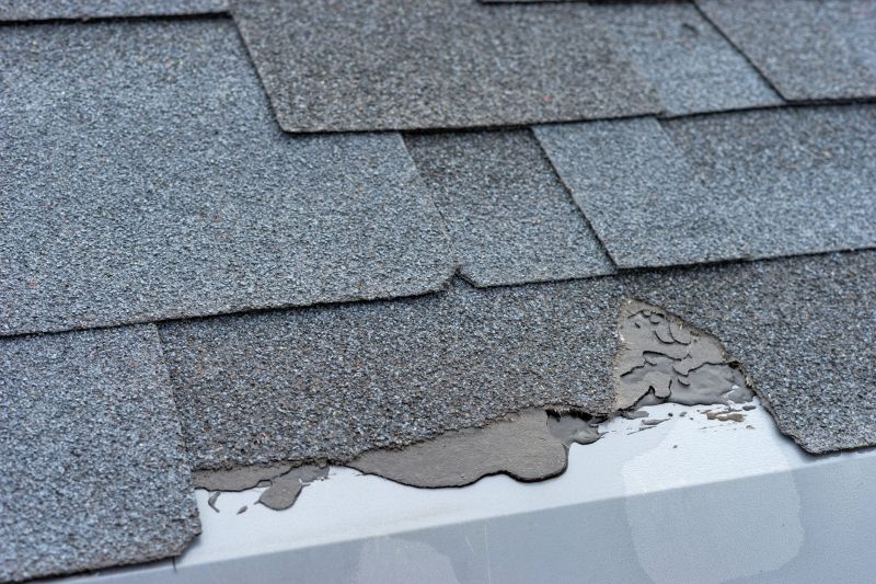 Damaged Roof Repair in Woodstock, MD