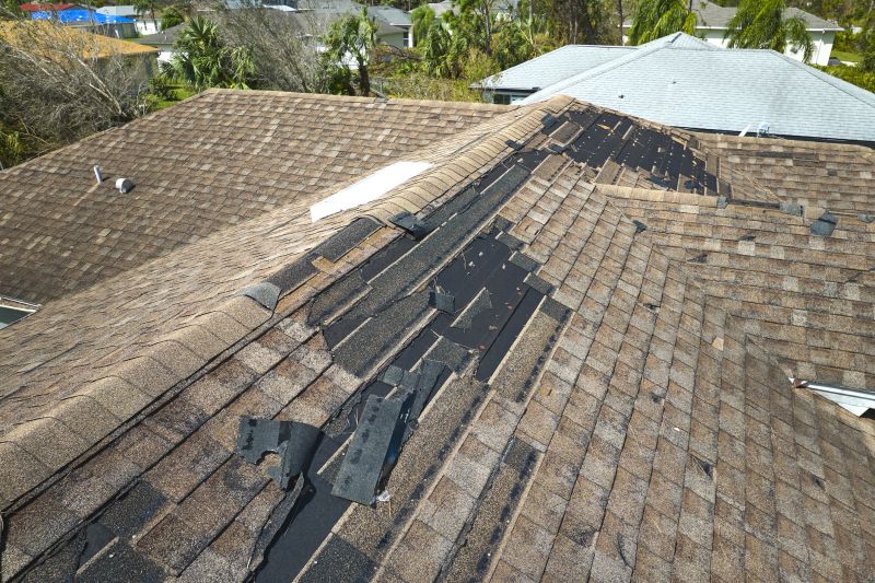 Damaged Roof Replacement in Halethorpe, MD