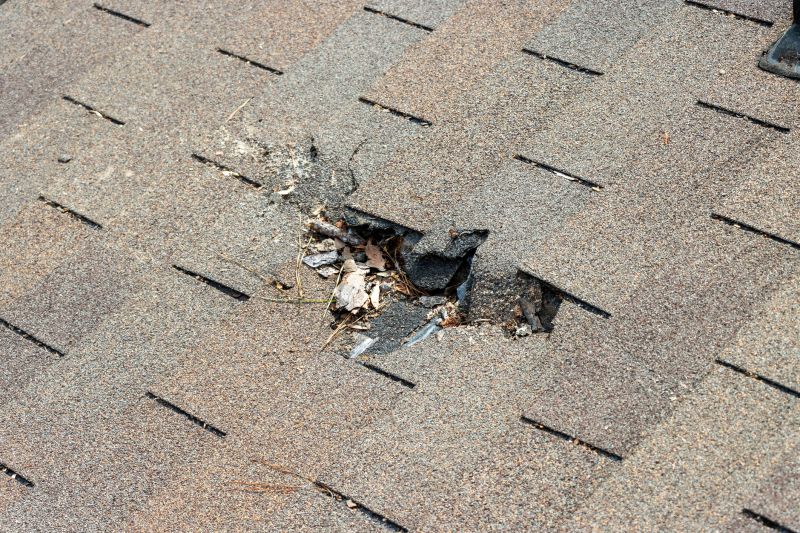 Damaged Roof Replacement in Olney, MD