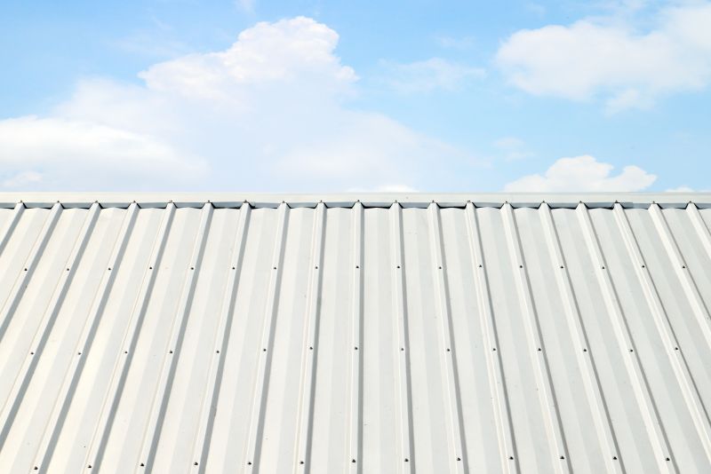 Metal Roof Coating Service in Sykesville, MD