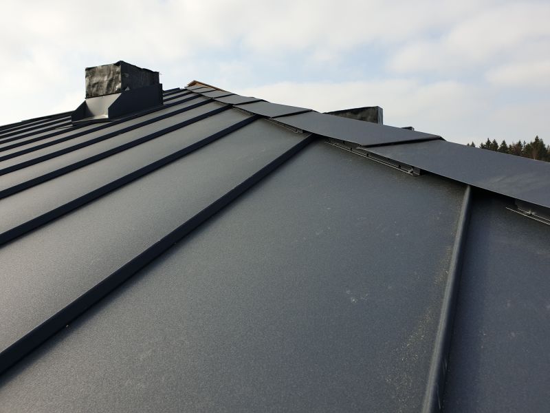 Metal Roof Sealing in Sykesville, MD