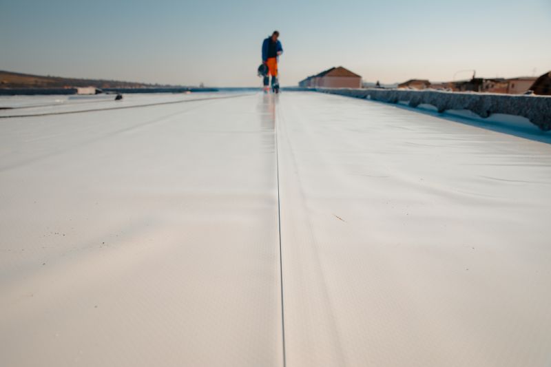 Rubber Roof Repair in Silver Spring, MD