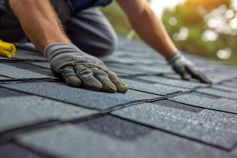 Shingles Repair in Gwynn Oak, MD