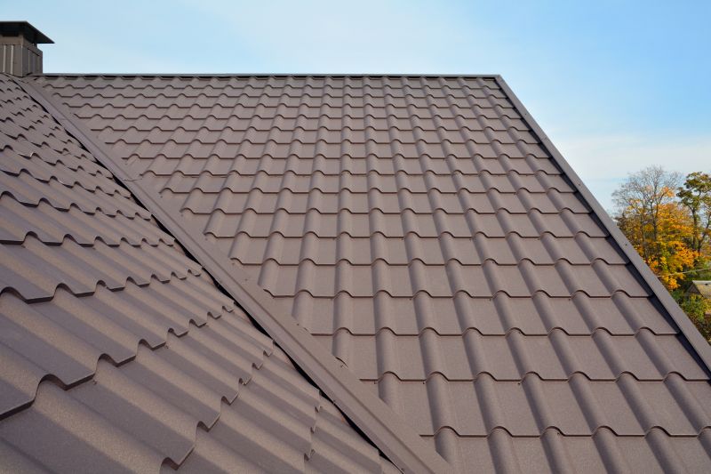 Tin Roof Installation in Hyattsville, MD